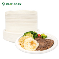 Assiettes en papier de canne à sucre de bagasse biodégradables compostables 100% de 9 pouces personnalisées biodégradables écologiques
