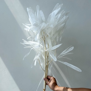 2026 New Products Preserved Dried Lentil Pod <strong>Flower</strong> Bulk Prices High Quality Wedding Decor Mother's Day DIY Gift Graduation - Product Image 2