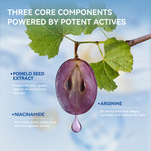 <span class=keywords><strong>Extrait</strong></span> <span class=keywords><strong>de</strong></span> Pépins <span class=keywords><strong>de</strong></span> <span class=keywords><strong>Pamplemousse</strong></span> Personnalisé pour Sérum Visage Éclaircissant à la Niacinamide, à l'Acide Hyaluronique <span class=keywords><strong>et</strong></span> à la <span class=keywords><strong>Vitamine</strong></span> E 30ml Naturel - Product Image 3