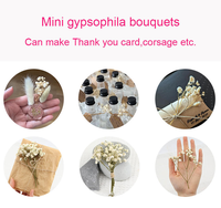 50pcs Kotak Premium Ranting Gypsophila Kering Alami untuk Seni Bunga DIY Karangan Bunga Dekorasi Pesta