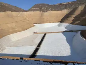 Preço composto de geomembrana Hdpe Lldpe para piscina forro de pvc material de construção de estradas