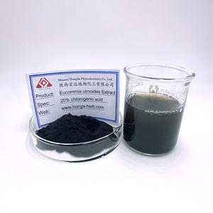 Eucommia Ulmoides estratto di foglie Eucommia Ulmoides estratto di acido clorogenico - Product Image 3