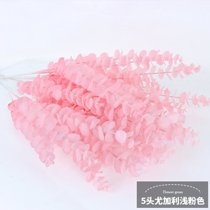 5 Đầu Vĩnh Cửu Rotundifolia Bảo Quản Bạch Đàn Trang Trí Tán Lá Bó Hoa Khô Bạch Đàn Lá Tròn - Product Image 4