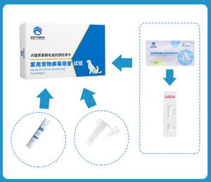 <span class=keywords><strong>Test</strong></span> rapide d'antigène de Giardia pour animaux de compagnie Utilisation hospitalière <span class=keywords><strong>Test</strong></span> à domicile - Product Image 3