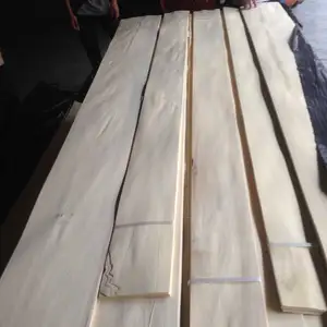 Irisan Lapisan Kayu Poplar Kuning Amerika Alami untuk Furnitur