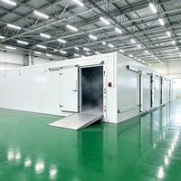 Contenedor Refrigerado Tipo Congelador con Unidad de Condensación de Corriente Continua para Almacenamiento en Cámaras Frigoríficas y Transporte de Alimentos Congelados