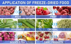 Mini máquina liofilizadora de uso doméstico, capacidad de 4-13 libras con 3 o 4 bandejas para Carambar Ginseng, equipo de servicio de productos de azúcar - Product Image 4