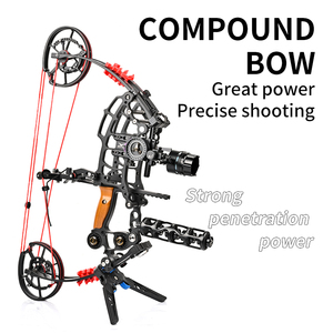 Kit d'arc à poulies polyvalent 35-70 lbs - Ensemble complet 2-en-1 flèches et billes d'acier pour la <span class=keywords><strong>chasse</strong></span> et le tir - Product Image 2
