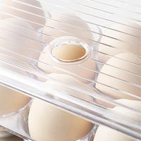 Contenedor de Huevos para Refrigerador con Tapa, Organizador de Plástico Transparente para 16 Huevos, Bandejas para Almacenamiento en la Cocina