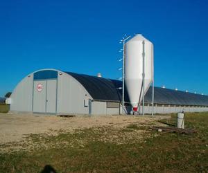 <span class=keywords><strong>Abri</strong></span> pour moutons, vaches et poulets en structure acier préfabriquée soudée, économique et durable, bâtiment agricole entièrement fermé pour l'élevage de chèvres et de bétail - Product Image 4