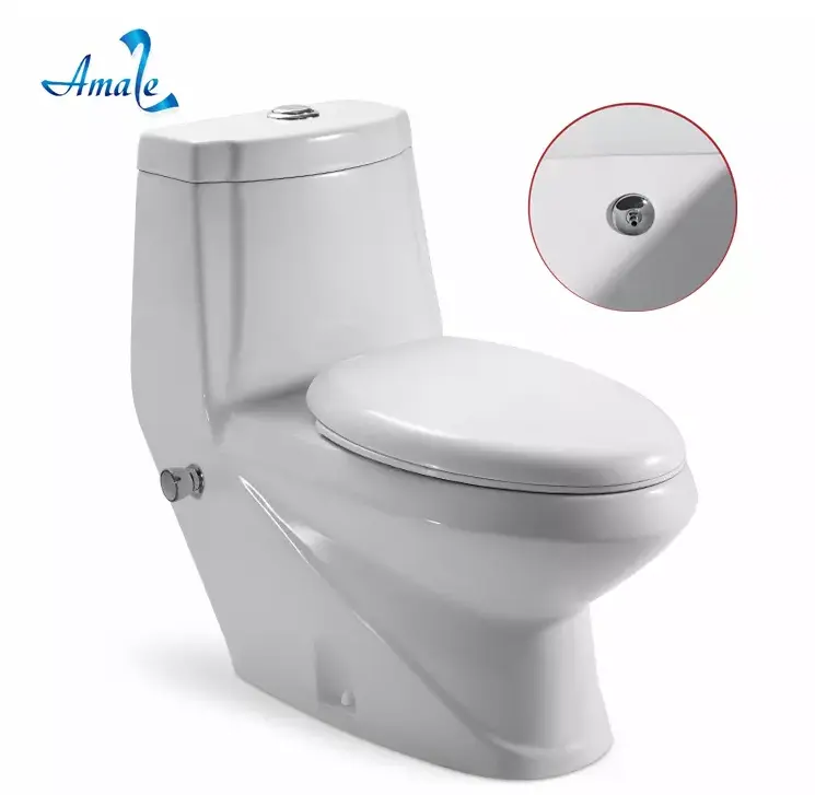 Amaze Ceramic Siphon Flushing Muslim Clean Vagina Bidet Toilet