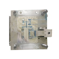 Molde de Inyección de Acero para Carcasa de Termómetro, Diseño CAD, Molde Personalizado, Certificado ISO9001, Larga Vida Útil del Molde