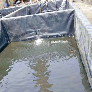 Geomembrana 4mm <span class=keywords><strong>precio</strong></span> de fábrica de pescado Hdpe estanque Liner <span class=keywords><strong>Epdm</strong></span> <span class=keywords><strong>membrana</strong></span> impermeable - Product Image 4
