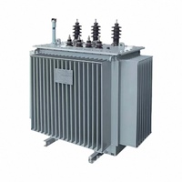 Transformateur de puissance immergé dans l'huile S13-M-315/500KVA 50/60Hz Entrée 10kV Sortie 110V Entièrement scellé Triphasé