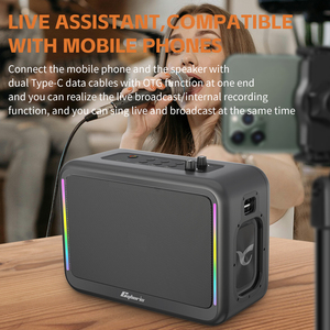 X14 200W Karaoke hoparlörü 2 bas diyaframlar uzun ömürlü çalma süresi Stereo 3D ses açık kablosuz taşınabilir mobil amplifikatör - Product Image 6