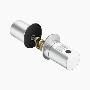 Whosale Outdoor C1E Smart Door Lock Bluetooth Fingerprint Smart Cylinder Door Locks