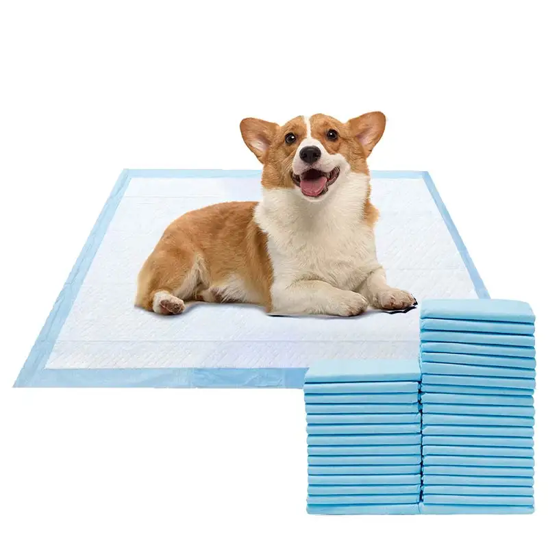 Hersteller New Style High Absorption Training Einweg Auslaufs icher Komfortabel Full Size Dog Pee Pad Mit Duft