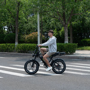 Bicicleta Eléctrica KOOLUX con Motor Trasero sin Escobillas de 250W para Adultos, Batería de Litio de 48V 15.6Ah, Alcance de 150KM, 45KM/H, Tracción en las Cuatro Ruedas, Neumático Grueso de 20 Pulgadas, 6 Velocidades - Product Image 2