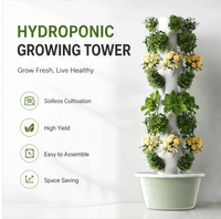 Système de culture hydroponique verticale automatique à 5 niveaux pour tour de jardinage, en matériau ABS, pour culture de légumes en intérieur/extérieur