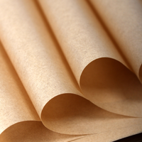 100 feuilles de papier sulfurisé écologique pour sandwichs, antiadhésif et résistant à la graisse, pour friteuse à air, cuisson, pâtisserie et grillades