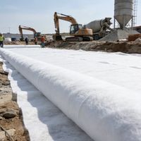 Geotextil con Buen Efecto de Aislamiento de 170g para Sistema de Drenaje e Infiltración de Agua en Campos de Golf