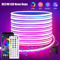 Bande lumineuse LED néon 24V étanche 15M 20M 30M RGBIC avec synchronisation musicale et contrôle par application