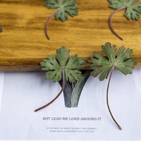 Feuilles de géranium naturel vraies fleurs séchées pressées pour bricolage signet artisanat salle de classe botanique activité Kit
