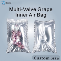 Sac intérieur gonflable personnalisé pour fruits, sac de conservation écologique pour raisins, directement de l'usine, emballage de protection pour le transport agricole