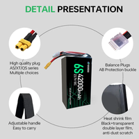 Batterie rechargeable QiQi Lithium Ion 6S 12S 14S 18S 42000mah 32000mah pour batterie de drone Uav Fpv