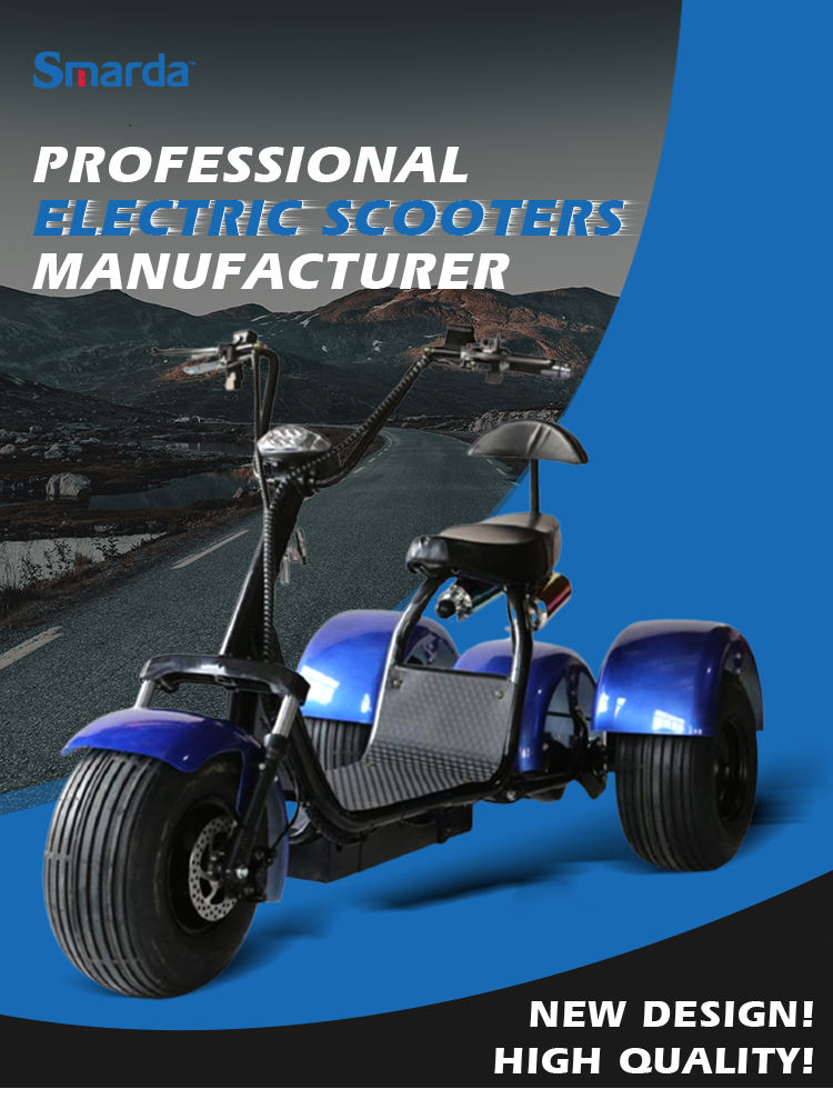 Citycoco Electric Scooter High Speed Wheel Tricycle