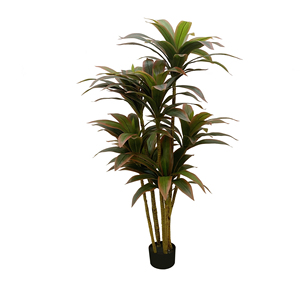 Plante artificielle en bois de fer brésilien en plastique pour la décoration intérieure, plantes décoratives, plantes artificielles - Product Image 5