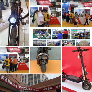 SZFJ Bộ Đèn Xe Đạp D-031 Dynamo Bao Gồm Đèn Pha Xe Đạp Stvzo Và Đèn LED Ebike Phía Trước Xe Đạp - Product Image 5