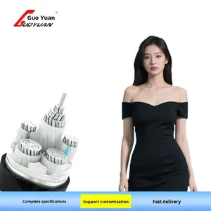 एमएफडब्ल्यू राष्ट्रीय मानक शुद्ध तांबा कोर आउटडोर बिजली केबल yjv2 <span class=keywords><strong>3</strong></span> 4 5 कोर 220v रेटेड 15/35/150 आईपी 65 <span class=keywords><strong>2</strong></span>.5 मिमी - Product Image 2