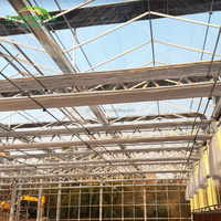 Vente chaude de système de serre hydroponique complet en verre trempé/polycarbonate multi-voûtes pour l'agriculture, en vente en Russie