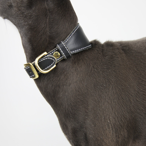 <span class=keywords><strong>Collar</strong></span> de entrenamiento para perros de cuero multicolor Sighthound, conjunto de <span class=keywords><strong>Collar</strong></span> ajustable para perros, <span class=keywords><strong>Collar</strong></span> personalizado para mascotas, accesorios para mascotas - Product Image 5