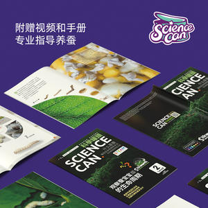 Capsule scientifique d'élevage de ver à soie pour enfants, boîte d'observation des insectes avec feuilles et pinces, 4-6 ans - Product Image 3