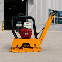 Compacteur à plaques réversible robuste de 220 kg 34 KN pour le compactage de sols lourds (vente en gros)