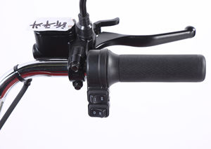 Triciclo de carga eléctrica de servicio pesado certificado EEC para logística Europea Baterías duales Triciclos eléctricos de potencia de 1000W Cuerpo cerrado abierto - Product Image 6