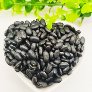 <span class=keywords><strong>Lentejas</strong></span> de color negro de alta calidad, bandas vegana, granos negros - Product Image 5