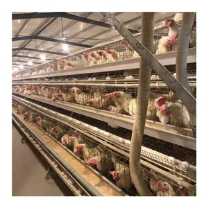 Poultry Farm Broilers Battery Cage Factory Price Automatic Galvanized Farm Equipment Livestock Poultry Bird Egg Hen Layer/Broiler Chicken Battery Laying Cage/Cages