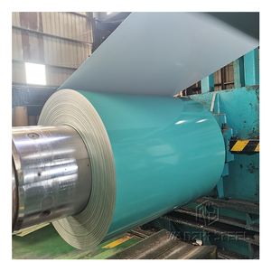 0,28mm tamaño <span class=keywords><strong>Ral</strong></span> <span class=keywords><strong>3005</strong></span> <span class=keywords><strong>Ral</strong></span> 6009 Color recubierto Ppgi hoja prepintada bobina de acero galvanizado para la venta - Product Image 6