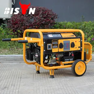 BISON (CHINA) Biogas Generator Silent Gas Generator 4KW