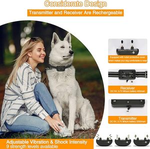 Rechargeable Étanche Extensible Trainertec Gps <span class=keywords><strong>Sans</strong></span> <span class=keywords><strong>Fil</strong></span> Électrique Clôture <span class=keywords><strong>Collier</strong></span> <span class=keywords><strong>Pour</strong></span> Chiens - Product Image 6