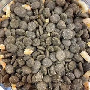 Wholesale Whole Sale 10kg 20kg Package Dry Dog Food OEM ODM Service Cheap Price