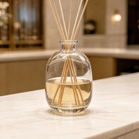 Bouteille diffuseur de parfum d'ambiance en verre décoratif OEM ODM 100 ml vide avec boîte – Bouteille diffuseur unique