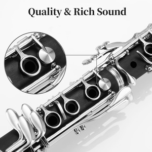 Clarinete Profesional Bb de 17 Llaves, Clarinete de Plástico ABS para Estudiantes, Instrumento Musical, Juego Completo con Accesorios, Kit de Limpieza y Correa - Product Image 6