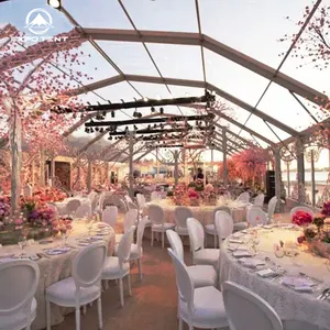 Klares Dachzelt Heißer Verkauf Chinesisches Party zelt Luxus Transparentes Zelt für Hochzeits feier Event PU-beschichtet Klasse B1 100 km/h CN;JIA