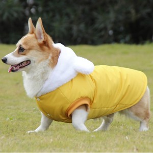 Cute Ears Winter Cotton-Padded Coat For Medium To Large <b>Dogs</b> Blue And Yellow Pet <b>Clothes</b> - Product Image 2