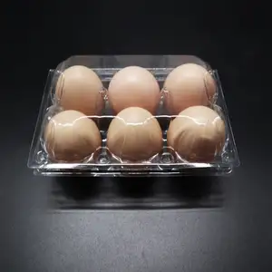 Custom Disposable clamshells rectangle clear pet plastic incubator egg trays for 6 holes