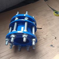 Joint de démontage mécanique en fonte ductile DN150 (3 pouces) PN16 fourni par des fabricants chinois